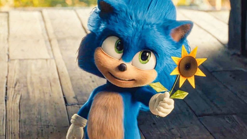 Baby Sonic the Hedgehog flower