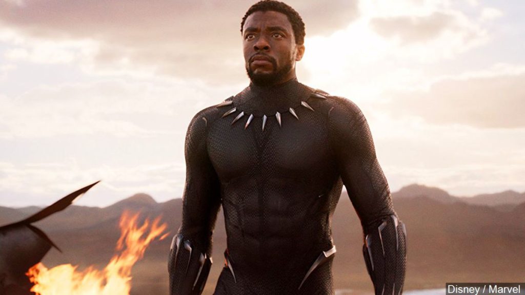 black panther - chadwick boseman