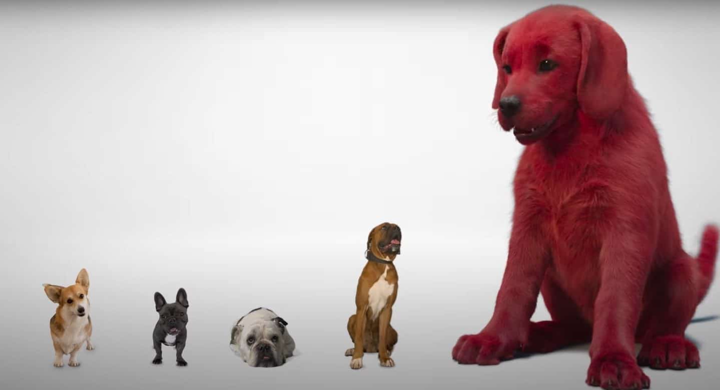 Live-Action Clifford the Big Red Dog Movie Gets an Adorably Tiny Teaser