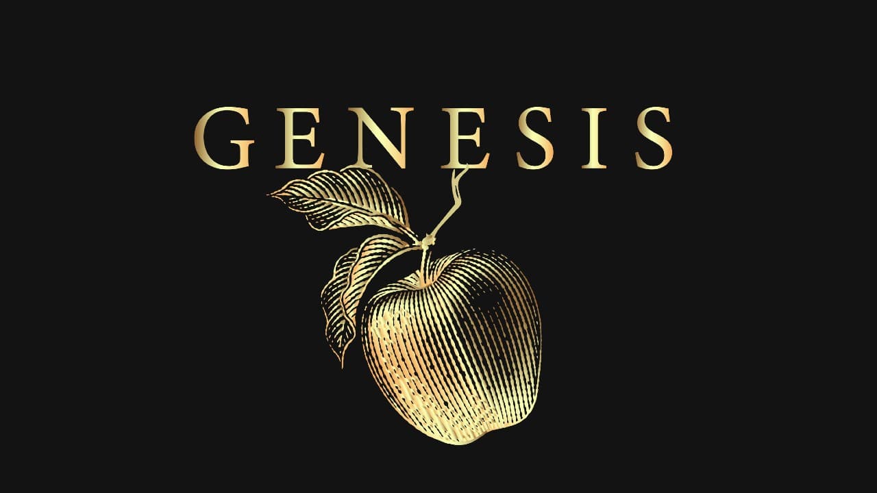 Genesis Theory Review: A Morbidly Gorgeous Short Story