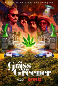 Cannabis Grass is greener