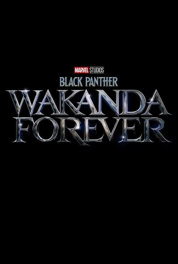 black panther wakanda forever poster