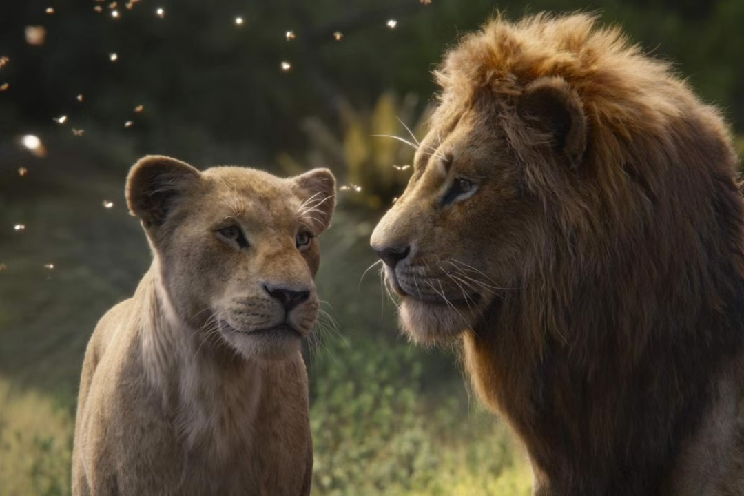 Mufasa: The Lion King Prequel Gets A Brand New Title At D23 - THE ...