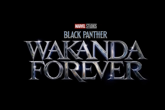 black panther wakanda forever