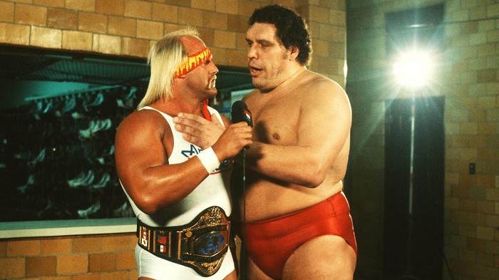 WWE Hulk Hogan, André the Giant