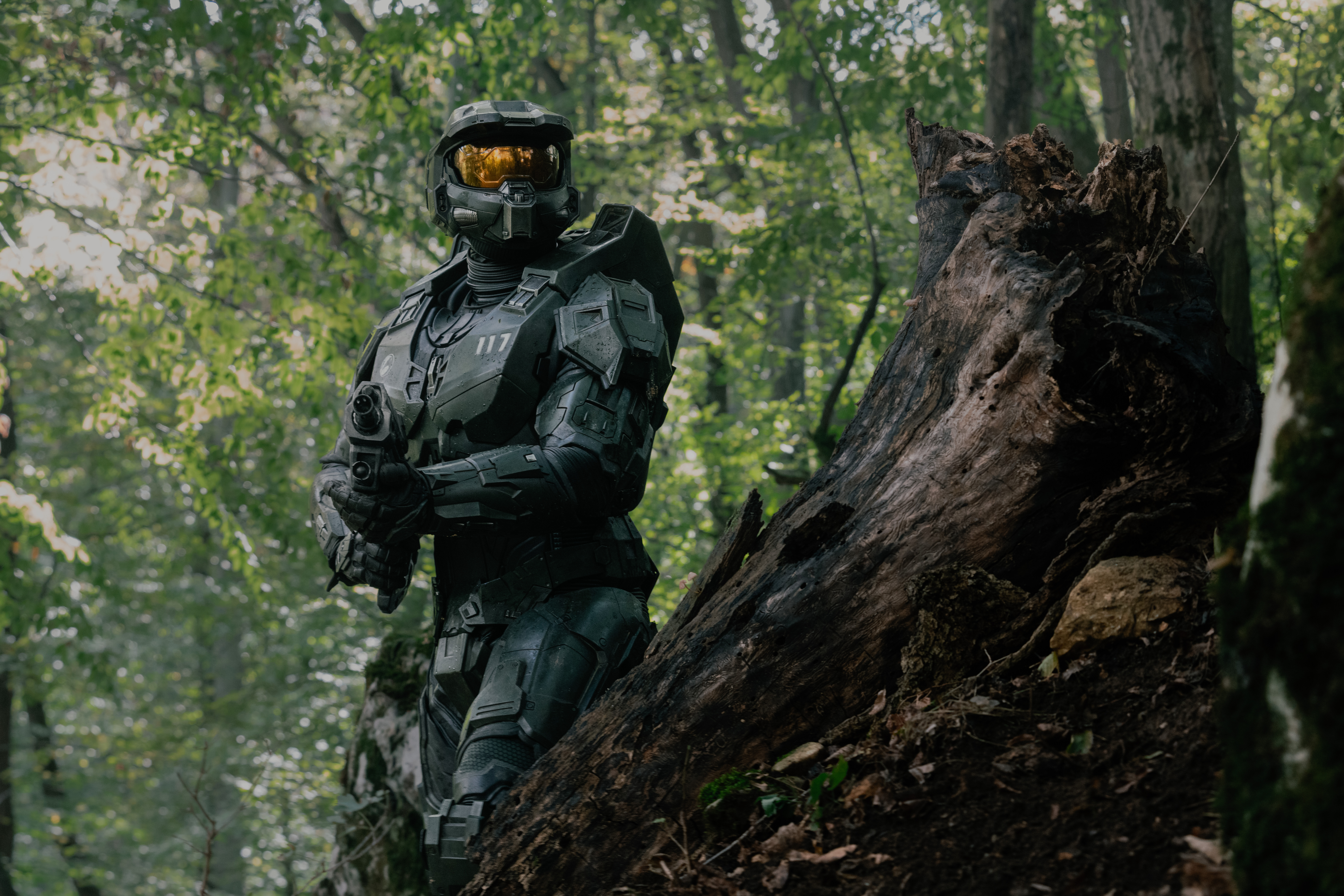 Master Chief in forest