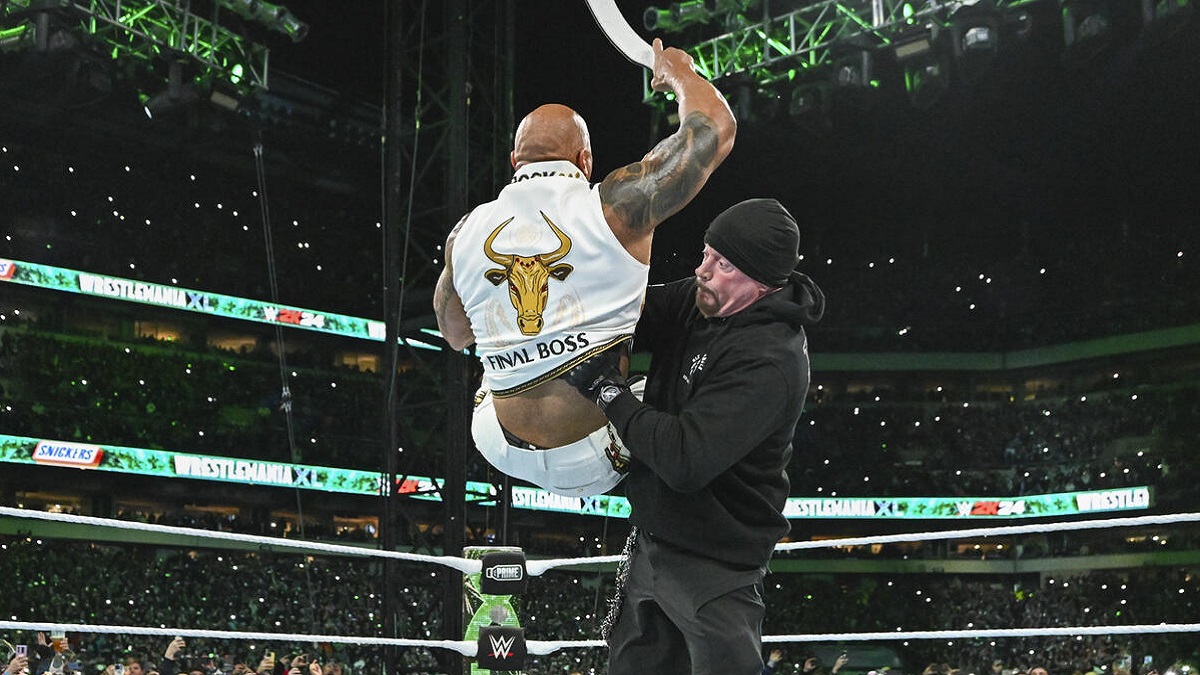 WWE The Rock and The Undertaker